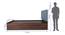 Ananda Engineered Wood Bed With Premium Leatherette Fabric And Box Storage - Queen Engineered Wood Bed (Walnut Finish, Queen Bed Size, Light Blue, Box Storage Type) by Urban Ladder - Image 2 Design 1 - 872242
