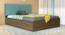 Yantra Engineered Wood Bed With Premium Leatherette Fabric And Box Storage - Queen Engineered Wood Bed (Walnut Finish, Queen Bed Size, Box Storage Type, Mint Green) by Urban Ladder - Front View Design 1 - 872251