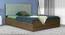 Kundalini Engineered Wood Bed With Premium Leatherette Fabric And Box Storage - Queen Engineered Wood Bed (Walnut Finish, Queen Bed Size, Silver, Box Storage Type) by Urban Ladder - Front View Design 1 - 872252