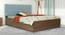 Samadhi Engineered Wood Bed With Premium Leatherette Fabric And Box Storage - Queen Engineered Wood Bed (Walnut Finish, Blue, Queen Bed Size, Box Storage Type) by Urban Ladder - Front View Design 1 - 872253