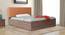 Tada Engineered Wood Bed With Premium Leatherette Fabric And Box Storage - Queen Engineered Wood Bed (Walnut Finish, Tan, Queen Bed Size, Box Storage Type) by Urban Ladder - Front View Design 1 - 872256