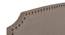 Pingala Engineered Wood Bed With Premium Leatherette Fabric And Box Storage - Queen Engineered Wood Bed (Walnut Finish, Brown, Queen Bed Size, Box Storage Type) by Urban Ladder - Design 1 Side View - 872263