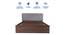 Kundalini Engineered Wood Bed With Premium Leatherette Fabric And Box Storage - Queen Engineered Wood Bed (Walnut Finish, Queen Bed Size, Silver, Box Storage Type) by Urban Ladder - Ground View Design 1 - 872270