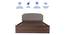 Pingala Engineered Wood Bed With Premium Leatherette Fabric And Box Storage - Queen Engineered Wood Bed (Walnut Finish, Brown, Queen Bed Size, Box Storage Type) by Urban Ladder - Ground View Design 1 - 872272