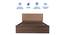 Tada Engineered Wood Bed With Premium Leatherette Fabric And Box Storage - Queen Engineered Wood Bed (Walnut Finish, Tan, Queen Bed Size, Box Storage Type) by Urban Ladder - Ground View Design 1 - 872274