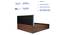 Bakhti Engineered Wood Bed With Premium Leatherette Fabric And Box Storage - Queen Engineered Wood Bed (Walnut Finish, Queen Bed Size, Beige, Box Storage Type) by Urban Ladder - Rear View Design 1 - 872276