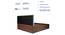 Yantra Engineered Wood Bed With Premium Leatherette Fabric And Box Storage - Queen Engineered Wood Bed (Walnut Finish, Queen Bed Size, Box Storage Type, Mint Green) by Urban Ladder - Rear View Design 1 - 872278