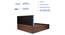 Kundalini Engineered Wood Bed With Premium Leatherette Fabric And Box Storage - Queen Engineered Wood Bed (Walnut Finish, Queen Bed Size, Silver, Box Storage Type) by Urban Ladder - Rear View Design 1 - 872279