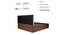 Pingala Engineered Wood Bed With Premium Leatherette Fabric And Box Storage - Queen Engineered Wood Bed (Walnut Finish, Brown, Queen Bed Size, Box Storage Type) by Urban Ladder - Rear View Design 1 - 872281