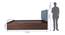 Kundalini Engineered Wood Bed With Premium Leatherette Fabric And Box Storage - Queen Engineered Wood Bed (Walnut Finish, Queen Bed Size, Silver, Box Storage Type) by Urban Ladder - Image 2 Design 1 - 872297