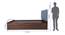 Pingala Engineered Wood Bed With Premium Leatherette Fabric And Box Storage - Queen Engineered Wood Bed (Walnut Finish, Brown, Queen Bed Size, Box Storage Type) by Urban Ladder - Image 2 Design 1 - 872299