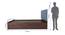 Tada Engineered Wood Bed With Premium Leatherette Fabric And Box Storage - Queen Engineered Wood Bed (Walnut Finish, Tan, Queen Bed Size, Box Storage Type) by Urban Ladder - Image 2 Design 1 - 872301