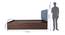 Virabhad Engineered Wood Bed With Premium Leatherette Fabric And Box Storage - Queen Engineered Wood Bed (Walnut Finish, Blue, Queen Bed Size, Box Storage Type) by Urban Ladder - Image 2 Design 1 - 872302