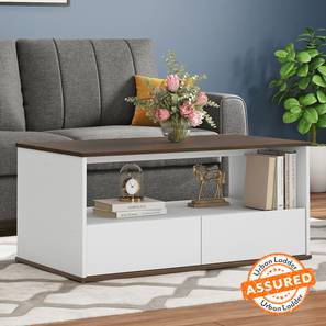 Coffee Table Design Riley Rectangular Engineered Wood Coffee Table in Dual Tone Finish