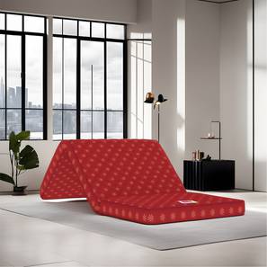 Folding Bed Design Essentio 3 Fold Reversible Travel Single Size Pu Foam Mattress (Single, 4 in Mattress Thickness (in Inches), 72 x 36 in Mattress Size)