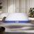 Spine master biofoam series lp