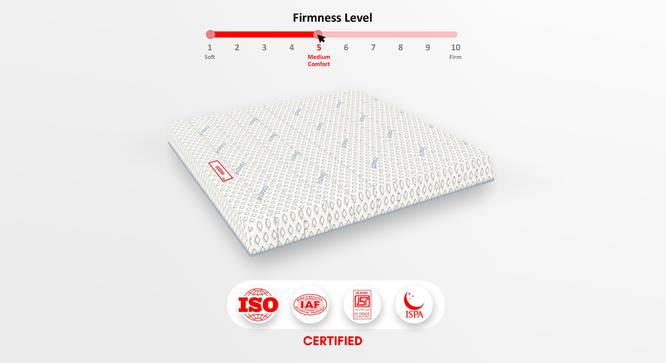 Biolife Ltx Indonesian Latex Foam Mattress - Double Size (White, 10 in Mattress Thickness (in Inches), Double Mattress Type, 72 x 42 in Mattress Size) by Urban Ladder - - 