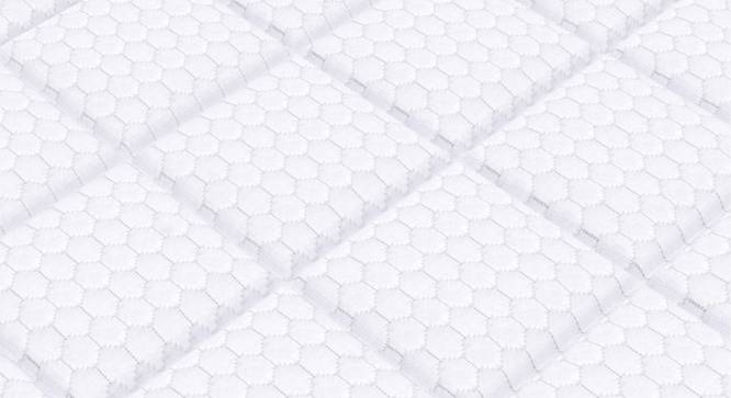 Spine Master Biofoam Oraganic Single Size Bonded Foam Mattress (Single, 6 in Mattress Thickness (in Inches), 78 x 30 in Mattress Size) by Urban Ladder - - 