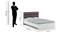Axel Double Bed Without Storage (Double Bed Size, Frosty White Finish) by Urban Ladder - Design 1 Dimension - 880603