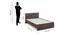 Asher Double Size Bed In Choco Walnut Finish (Double Bed Size, Choco Walnut Finish) by Urban Ladder - Design 1 Dimension - 880608
