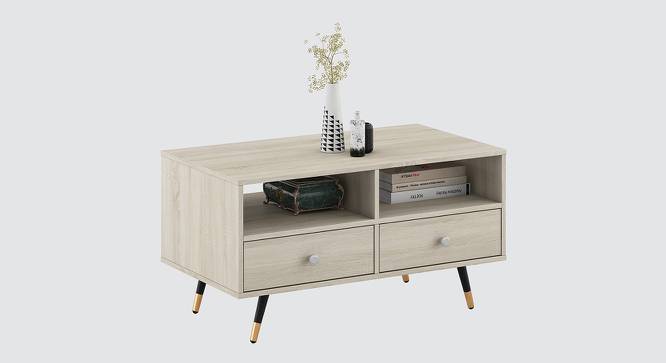 Breeze Coffee Table (Light Oak Finish) by Urban Ladder - Front View Design 1 - 880648