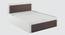 Dimora Queen Bed with Hydraulic Storage In Choco Walnut Finish (King Bed Size, Hydraulic Storage Type, Frosty White Finish) by Urban Ladder - Design 1 Side View - 880655