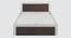 Dimora Queen Bed with Hydraulic Storage In Choco Walnut Finish (King Bed Size, Hydraulic Storage Type, Frosty White Finish) by Urban Ladder - Ground View Design 1 - 880677