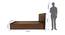 Erinnyes Solidwood Headbord With Box Storage - Queen Engineered Wood Bed (Walnut Finish, Brown, Queen Bed Size, Box Storage Type) by Urban Ladder - - 