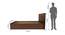 Graces Solidwood Headbord With Box Storage - Queen Engineered Wood Bed (Walnut Finish, Brown, Queen Bed Size, Box Storage Type) by Urban Ladder - - 