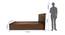 Styx Solidwood Headbord With Box Storage - Queen Engineered Wood Bed (Walnut Finish, Brown, Queen Bed Size, Box Storage Type) by Urban Ladder - - 881050