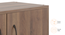 Alex Shoe Cabinet (Classic Walnut Finish, 12 pair Configuration) by Urban Ladder - - 