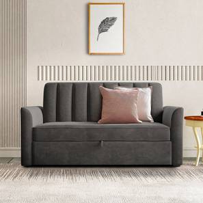 Sofa Cum Bed In Wanaparthy Design Hajel 3 Seater Pull Out Sofa cum Bed In Dark Grey Colour
