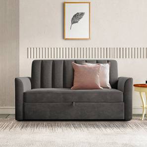 Sofa Cum Bed In Bhopal Design Hajel 3 Seater Pull Out Sofa cum Bed In Dark Grey Colour