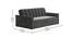Hajel 3 Seater Pull Out Sofa Cum Bed In Grey Colour (Dark Grey) by Urban Ladder - Dimension Design 1 - 