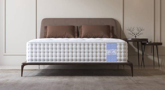 Reactive Dual Comfort Orthopaedic 5 Zoned Gel Memory Foam Queen Size Pocket Spring Mattress (Queen Mattress Type, 8 in Mattress Thickness (in Inches), 75 x 60 in Mattress Size) by Urban Ladder - - 