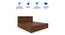 Taro Engineered Wood King Size Box Storage Bed In Walnut Finish (Walnut Finish, King Bed Size, Hydraulic Storage Type) by Urban Ladder - Cross View Design 1 - 885693