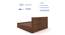 Taro Engineered Wood King Size Box Storage Bed In Walnut Finish (Walnut Finish, King Bed Size, Hydraulic Storage Type) by Urban Ladder - Rear View Design 1 - 885714