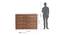 Yuko Engineered Wood Chest of 8 Drawers in Columbia Walnut Finish (Walnut Finish) by Urban Ladder - Design 1 Side View - 885733