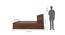 Taro Engineered Wood King Size Box Storage Bed In Walnut Finish (Walnut Finish, King Bed Size, Hydraulic Storage Type) by Urban Ladder - Design 1 Dimension - 885748