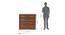 Yuko Wide Engineered Wood Chest of 5 Drawers in Columbia Walnut Finish (Walnut Finish) by Urban Ladder - Design 1 Dimension - 885754