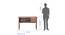 Yuko Engineered Wood Study Table with Two Drawers in Columbia Walnut Finish (Walnut Finish) by Urban Ladder - Design 1 Dimension - 885757