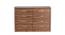 Yuko Engineered Wood Chest of 8 Drawers in Columbia Walnut Finish (Walnut Finish) by Urban Ladder - - 885774