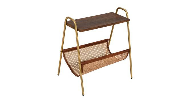 rowling metal end table gold finish (Gold Finish) by Urban Ladder - Front View Design 1 - 886338