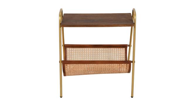 rowling metal end table gold finish (Gold Finish) by Urban Ladder - Design 1 Side View - 886345