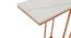 terry metal end table gold finish (Gold Finish) by Urban Ladder - Rear View Design 1 - 886364