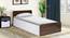 Valentina Storage Bed (Single Bed Size, Drawer & Box Storage Type, Frosty White & Columbian Walnut Finish) by Urban Ladder - - 
