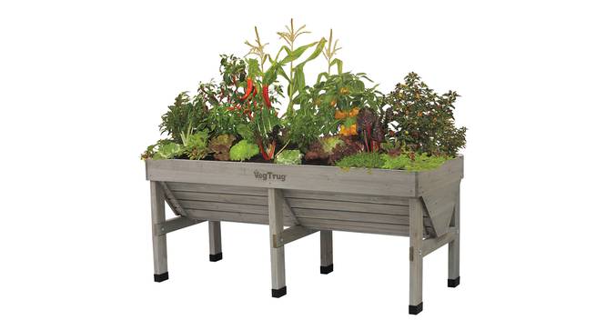 VegTrug Classic Medium 1.8m Grey Wash (Grey) by Urban Ladder - Front View Design 1 - 887403