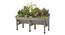 VegTrug Classic Medium 1.8m Grey Wash (Grey) by Urban Ladder - Front View Design 1 - 887403