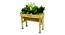 VegTrug WallHugger Small 1m Natural (Brown) by Urban Ladder - Front View Design 1 - 887404