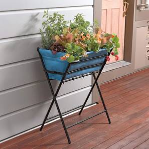 takasho VegTrug Poppy Planter with Blue Liner-picture-12